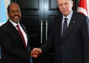Somalia-Turkey maritime deal is a win for both countries, and not a power play for the Horn of Africa