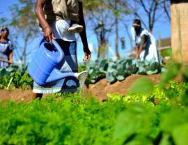 Using research for a better South Africa