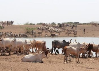 l’effondrement du système de surveillance commerciale met en péril la sécurité alimentaire