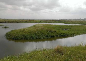 An important wetland in Ghana is under siege. Researchers investigate the real issues