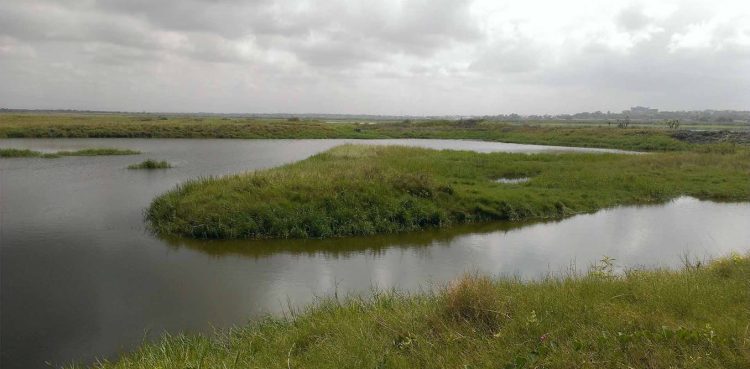 An important wetland in Ghana is under siege. Researchers investigate the real issues